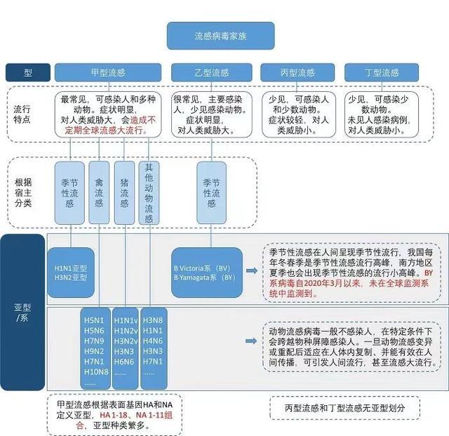 每次流感大流行幾乎都是甲流引起的 近期病例激增引發(fā)關(guān)注