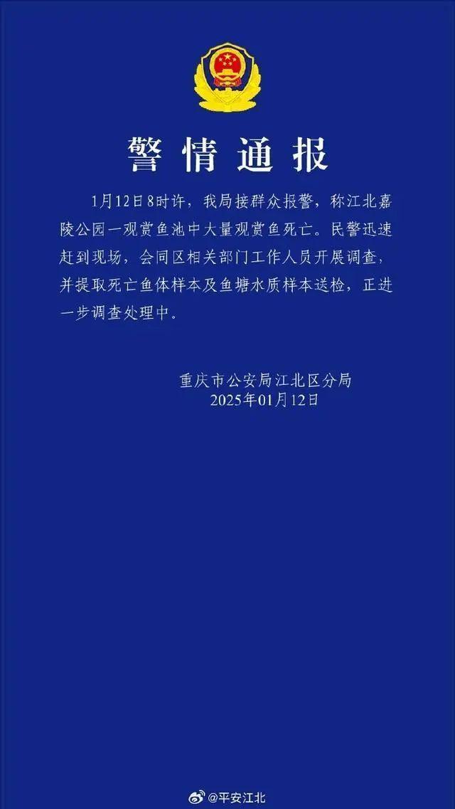 重慶通報觀賞魚池大量魚死亡 警方介入調(diào)查