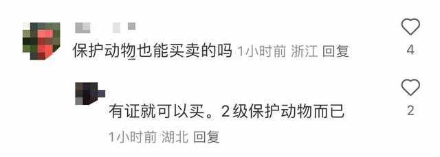 武汉一公园出售猴子 单价3000元起 引发网友热议