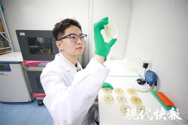 東大學(xué)者發(fā)現(xiàn)能殺菌的鮮花形狀病毒 揭示生物功能材料新潛力