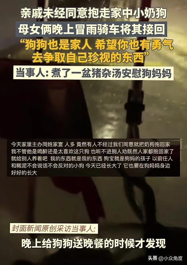 親戚未經(jīng)同意抱走沒斷奶小狗 母女冒雨接回感動(dòng)網(wǎng)友