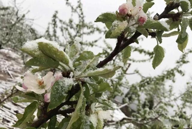 老人說“最怕雨打元宵燈” 下雨有啥預(yù)兆？ 影響農(nóng)事與民俗