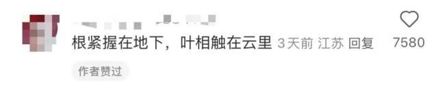 余華回應(yīng)國槐樹事件 文學(xué)友誼引發(fā)熱議