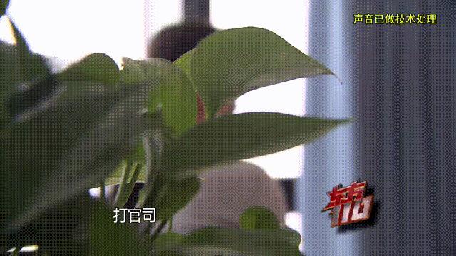 37歲女子借給游戲男友100萬 三年騙局終曝光