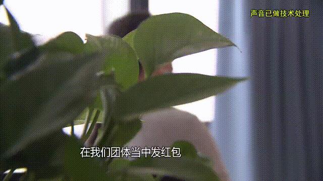男子編造謊言3年詐騙女網(wǎng)友100萬