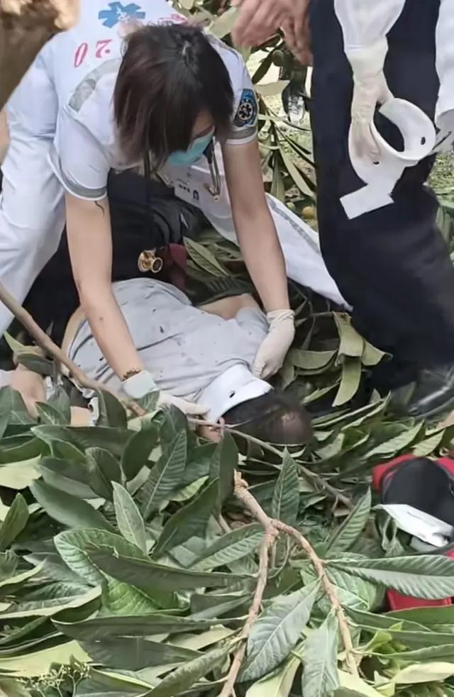 男子爬樹摘枇杷不慎摔下 偷雞不成蝕把米
