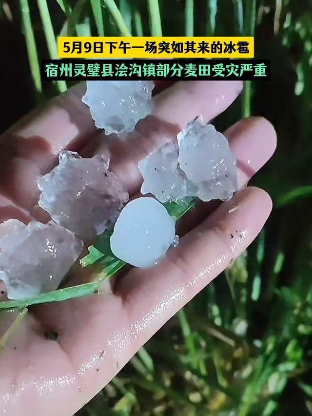 安徽宿州遭遇冰雹襲擊