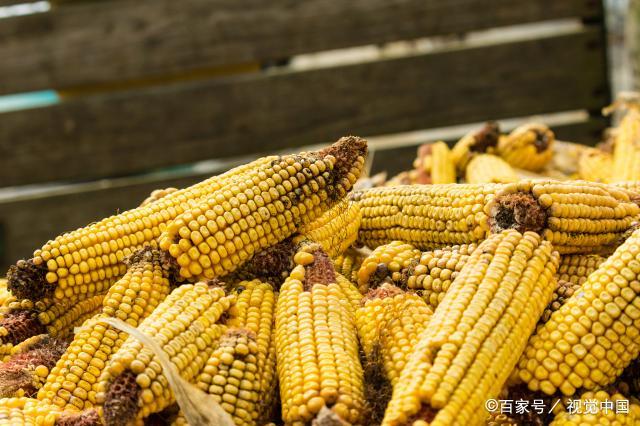 玉米還在漲 但越漲越哆嗦,！上漲空間有限