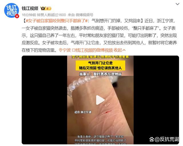 女子被自家貓咬到整只手都麻了 寵物相處需謹(jǐn)慎