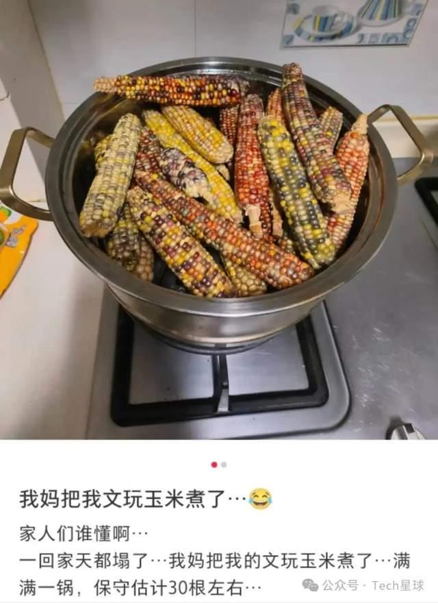一根开价10万 年轻人迷上文玩玉米，风靡年轻圈