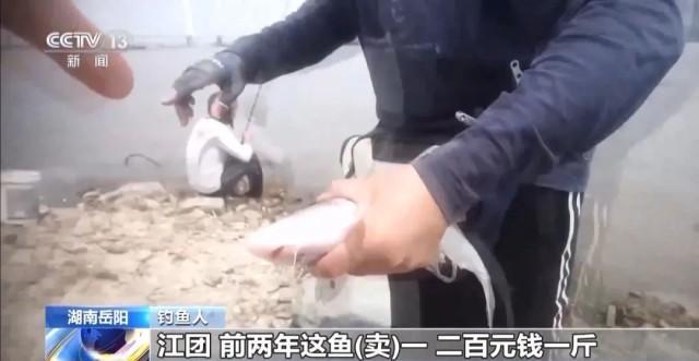 洞庭湖禁捕区成“垂钓场” 违规钓鱼现象频发