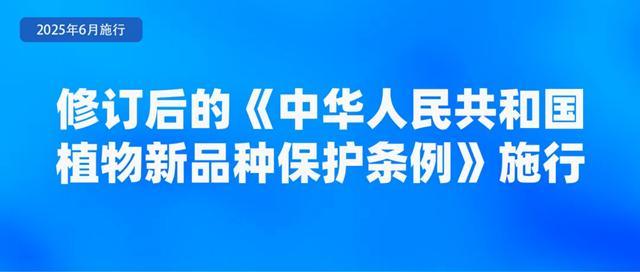6月起這些新規(guī)影響你我生活 多項(xiàng)政策助力民生與發(fā)展