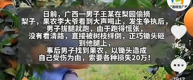 男子偷梨被果農(nóng)砸到腿 果農(nóng)擔(dān)責(zé)一半 偷竊反索賠引爭(zhēng)議