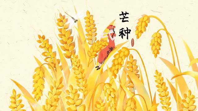 芒种宜喝三道养生汤