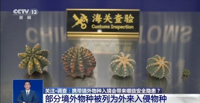 中國(guó)超1700萬人在養(yǎng)“異寵” 五花八門的“神奇動(dòng)物”受熱捧