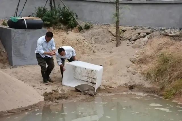浙江發(fā)現(xiàn)一只大型野生黿 珍稀物種再現(xiàn)引發(fā)關(guān)注