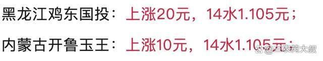 玉米“突然跌了” “猛烈漲價(jià)”要大變臉？市場(chǎng)迎來(lái)選擇時(shí)刻
