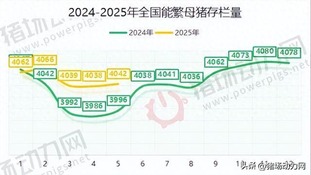 猪价3连涨，三大原因曝光！5月母猪数再增长