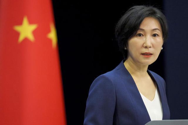 佩通坦在被停职前是否留了后手 内阁改组寻后路