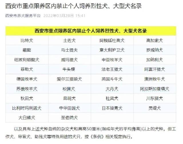 中华田园犬为何是禁养犬 多地政策调整引发热议
