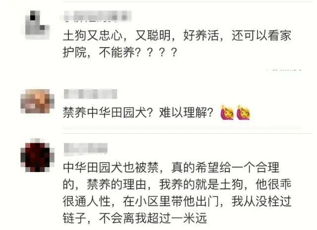 業(yè)內(nèi)人士稱解禁中華田園犬是趨勢(shì) 多地土狗終獲身份