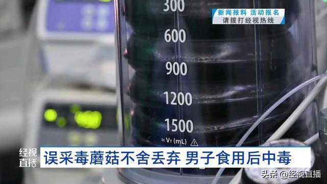 男子誤采蘑菇界死神不舍丟棄吃中毒 險(xiǎn)釀悲劇