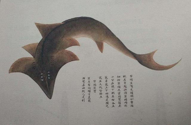 海鲜在古代居然叫做“海错”，只有王公贵族才能享用！从《桃花映江山》中看古代美食！