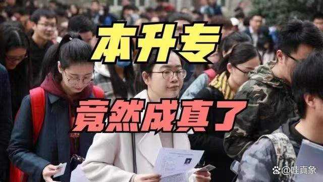 本科毕业生为何抢着读专科 就业天平倾斜引发热潮