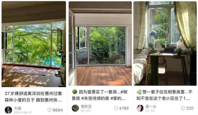 为情绪付费 年轻人盯上“树景房” 绿色中的诗意生活