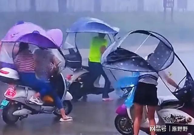 济南大明湖景区部分树木倒伏