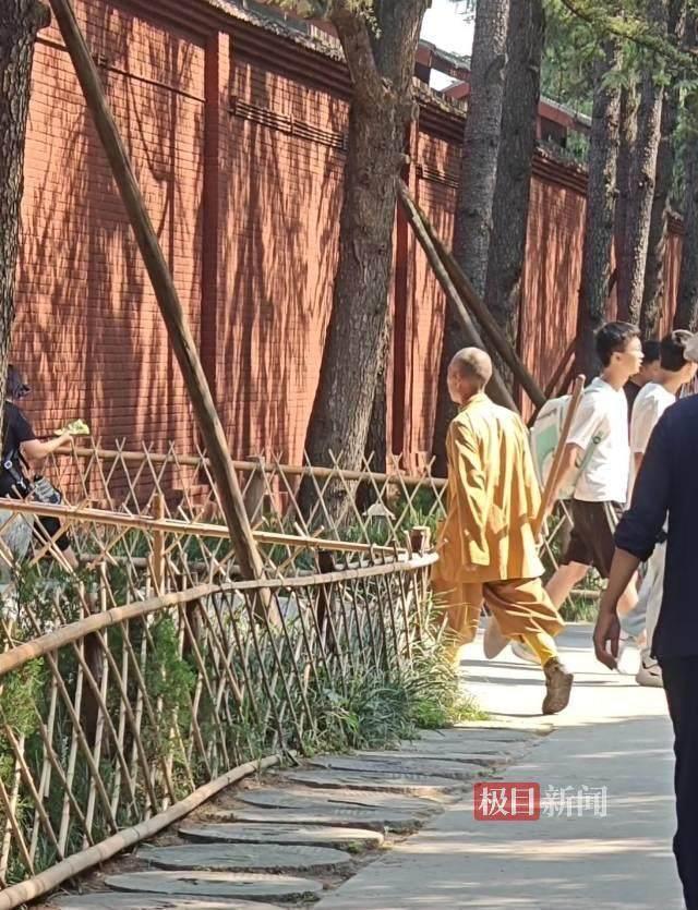 实探白马寺：有免费茶水 闲地种玉米 农禅并重传祖训