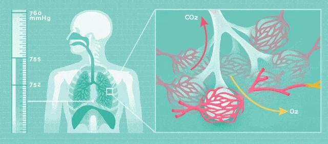 这6个指标正常说明你还算健康 多维度评估体系