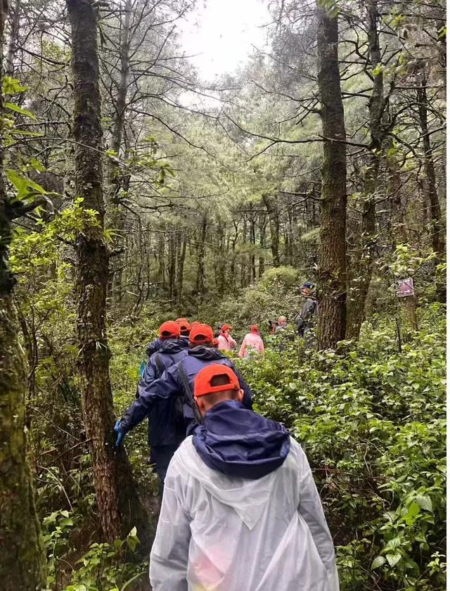 搜救者最近距自闭症孩子仅一二百米 呼唤未得回应