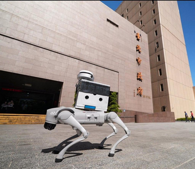 台北引进大陆机器狗巡检人行道 智能巡检新伙伴