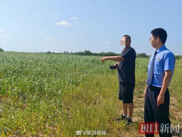 男子盗挖8400吨“土黄金”获刑 农田受损资源流失