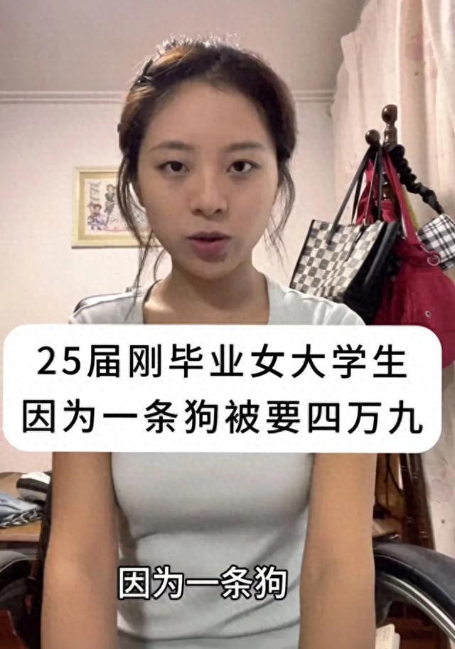 社牛流浪狗把男子“賴”成了鏟屎官 好心救助反遭索賠