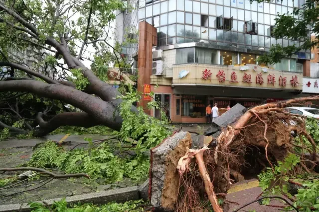 珠海17级摇风 超强台风“桦加沙”来袭