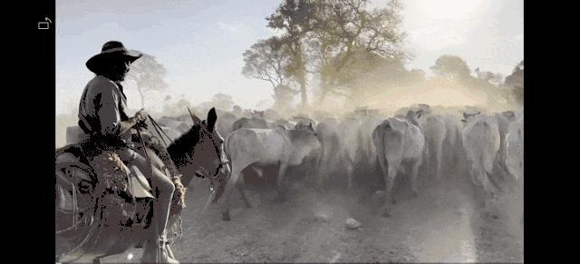 俞孔坚坠机身亡 学生发声缅怀 海绵星球的先行者