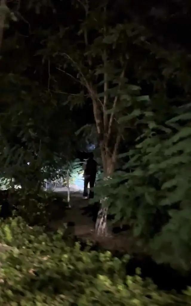 养殖场回应大量螃蟹爬上马路 夜间迁徙引发市民捡蟹热潮