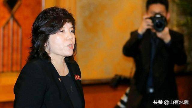 朝鲜外相带来金正恩承诺意味着什么 阅兵外交信号显现