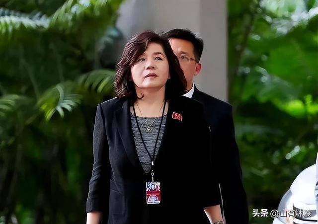 朝鲜外相带来金正恩承诺意味着什么 阅兵外交信号显现