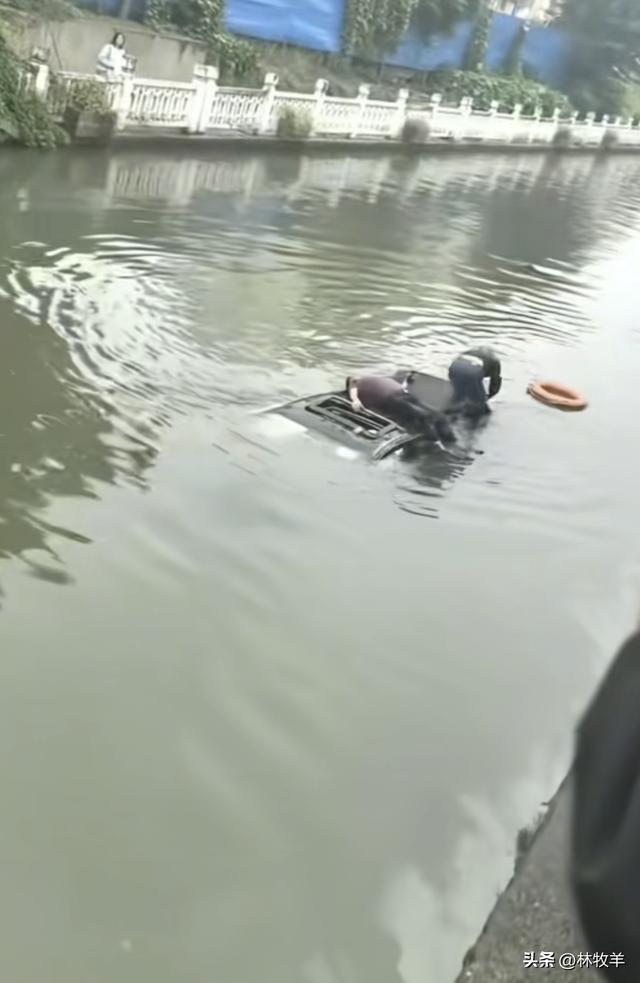 奥迪车主为躲闯红灯电动车不慎坠河 平凡英雄挺身而出