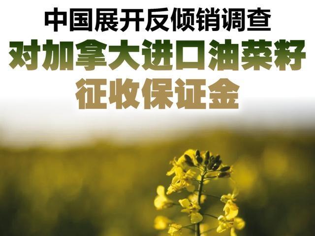 韩国加拿大为何都受不了特朗普 贸易争端升级