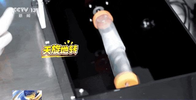 小鼠“航天员”魔鬼训练画面曝光 太空任务探路者选拔