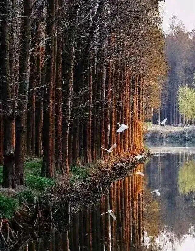 “苏超”夺冠后,泰州市官宣→