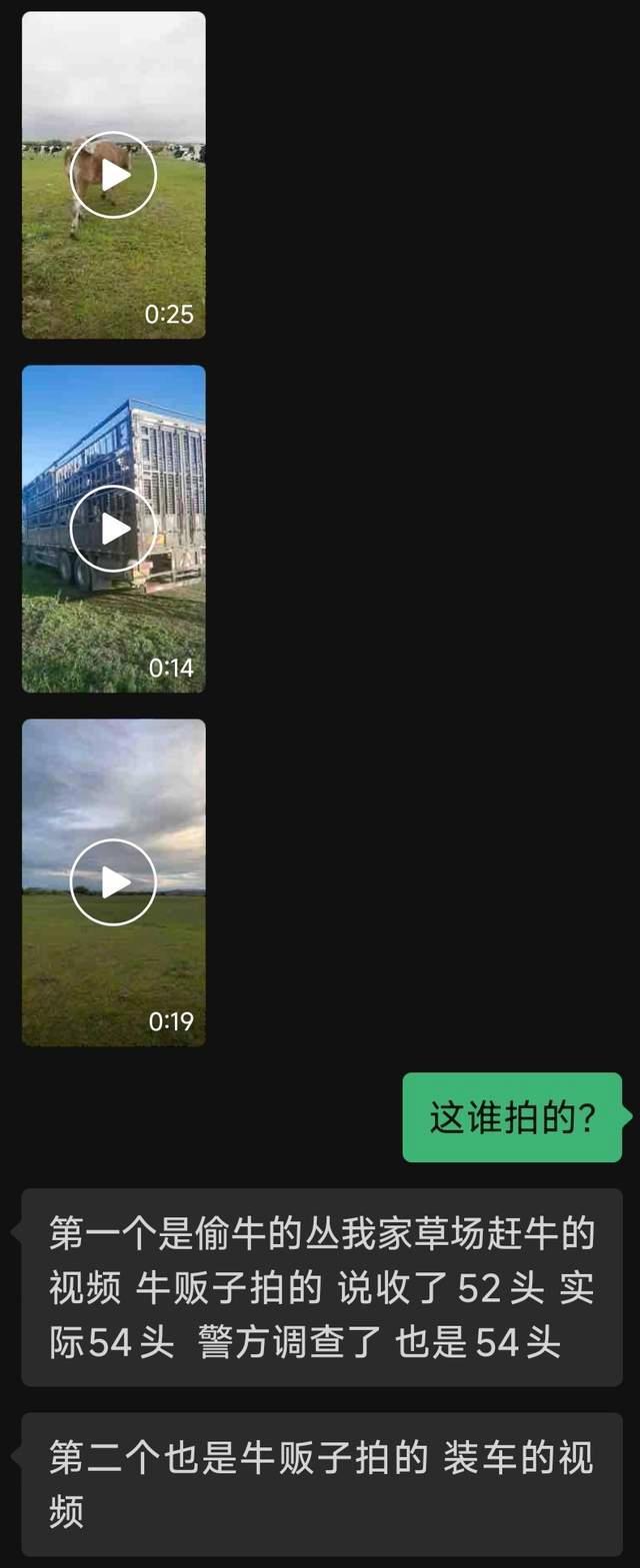 54头牛被偷 偷牛者朋友圈发自拍宣传 熟人作案损失惨重
