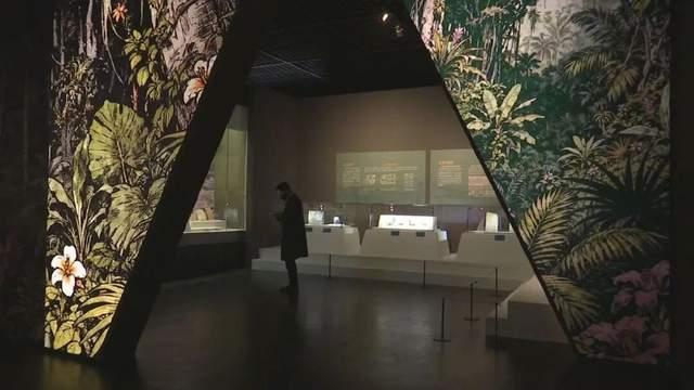 墨西哥玛雅文明展引观展热潮 探秘古老辉煌