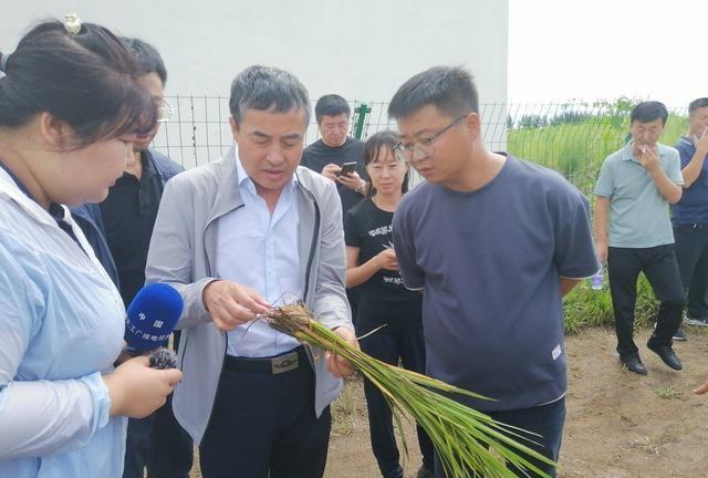 中美20年四次大豆博弈 一颗豆子背后的惊天棋局