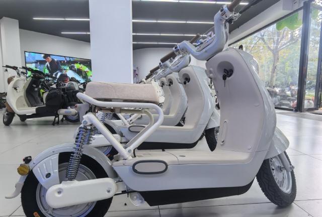 新国标电动自行车每辆4000元上下 安全与性价比的抉择