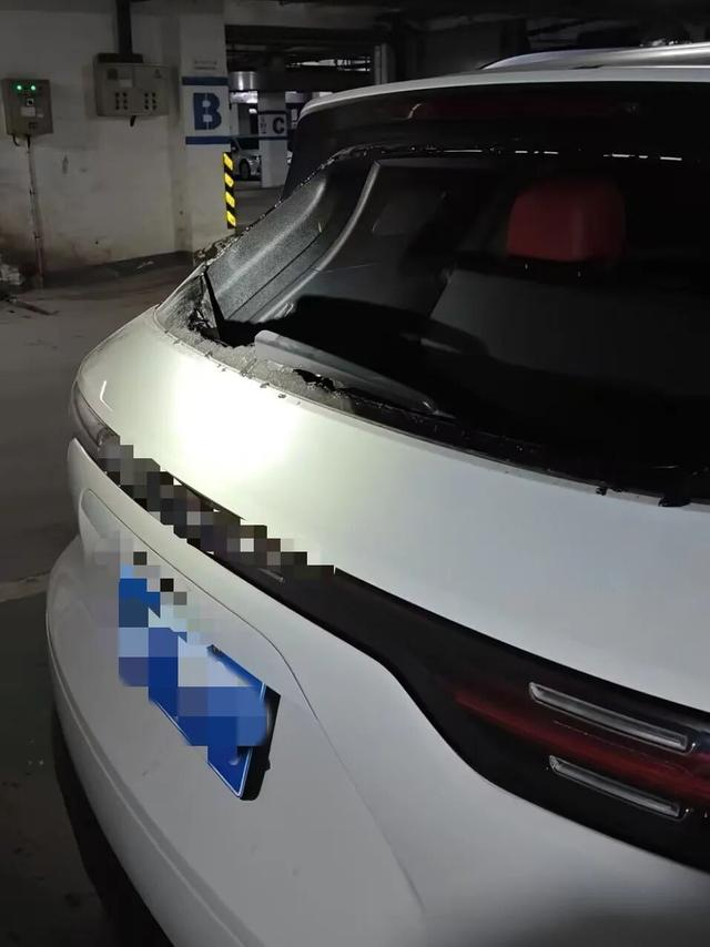 沈阳与秦皇岛警方联手破获砸车偷盗案,涉及20辆车引发关注